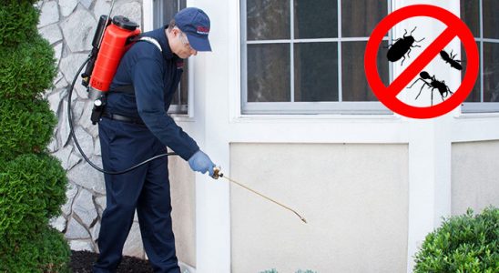 Egekent Kene İlaçlama böcek ilaçlama ve haşere kontrolü — ilaclama-tr.com